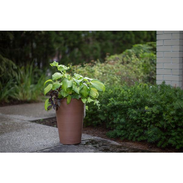 Algreen Products Valencia Planter with shelf - 16-in x 24-in - Terracotta