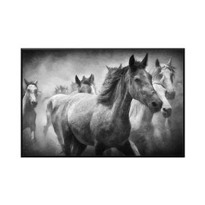 Stella.B Decor Shadow Framed Canvas with Black Frame - Horse - 48-in x 32-in