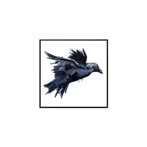 Stella.B Decor TARA Framed Canvas with Black Frame - Crow - 28-in x 28-in
