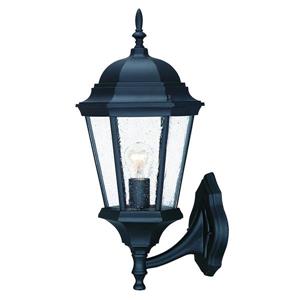 Acclaim Lighting Richmond 1-Light Wall Mount Lantern - 9-in x 21.5-in - Black