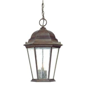 Acclaim Lighting Richmond 3-Light Hanging Lantern - 18.5" - Walnut