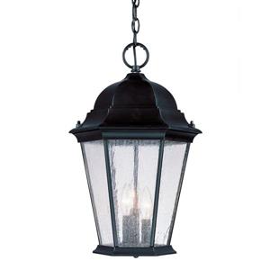 Lanterne suspendue à 3 lumières Richmond, 18,5", noir