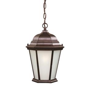 Acclaim Lighting Richmond 1-Light Hanging Lantern - 14" - Walnut