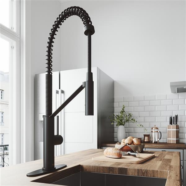 Livingston Magnetic Kitchen Faucet With Deck Plate