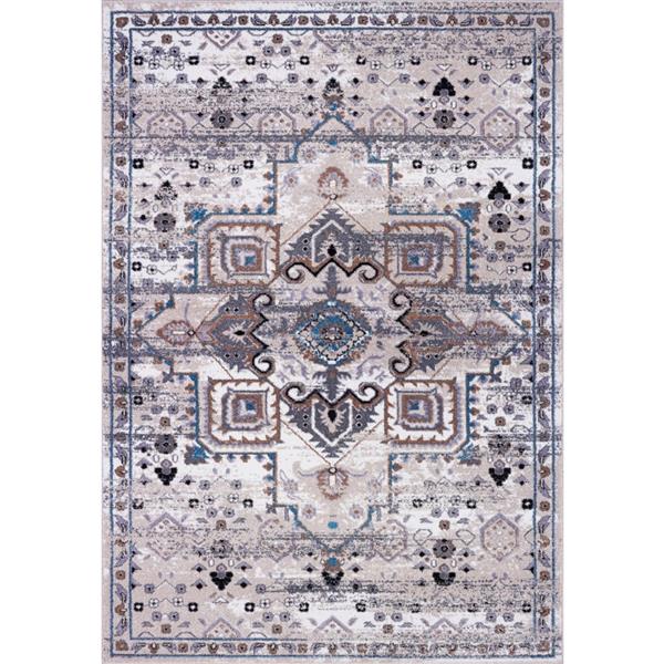 La Dole Rugs Lyon Vintage Rectangular Area Rug 7 X 10