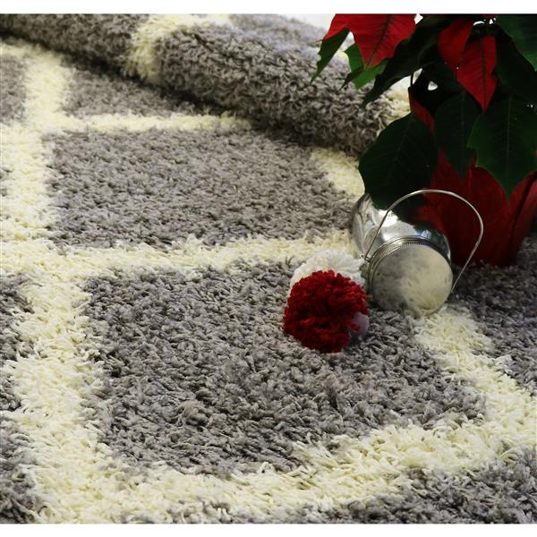 Tapis à poil long moderne «Trellis», 7 pi x 10 pi, gris/crème