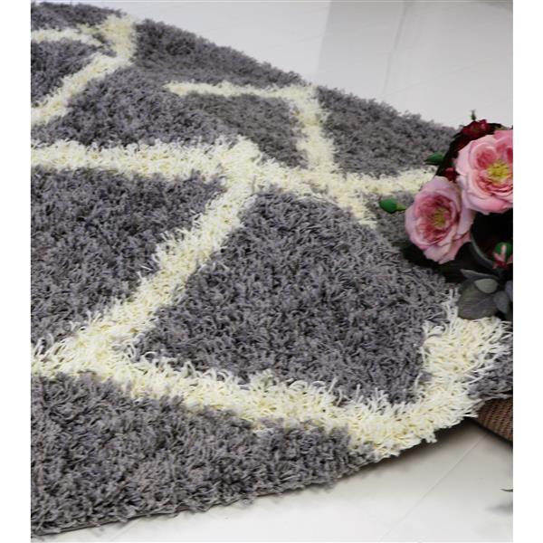 Tapis à poil long moderne «Trellis», 7 pi x 10 pi, gris/crème