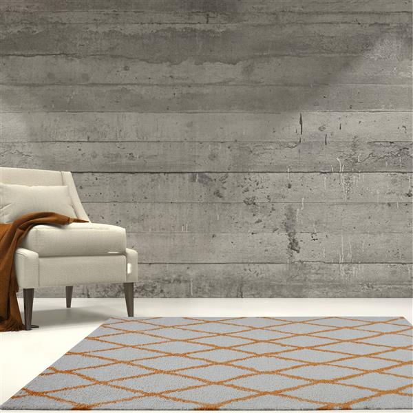 Tapis géométrique rectangulaire «Trellis», 8 pi x 11 pi, orange