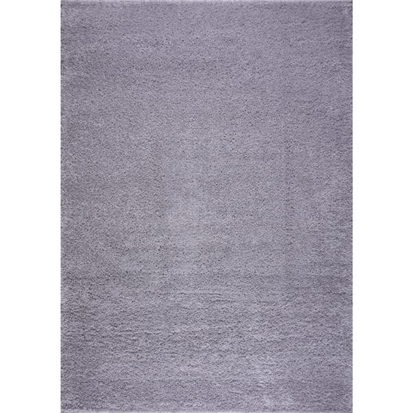 Tapis Meknes, 6,4 pi x 9,4 pi, polypropylène, gris pâle