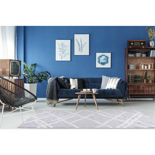 La Dole Rugs® Tangier Area Rug - 2.6-ft x 9.8-ft - Polypropylene - Gray/White