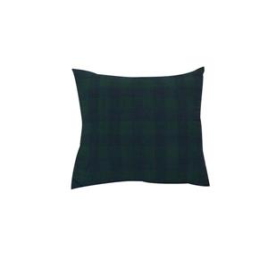 Coussin décoratif «Buffalo Checks», 20" x 20", bleu/vert