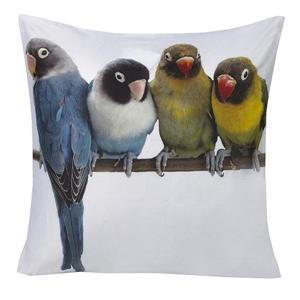 Coussin décoratif «Budgies», 20" x 20", multicoloured