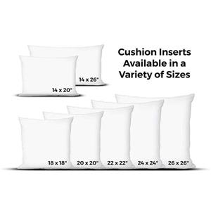 Insert de coussin rempli de plumes, 14 "x 20", blanc