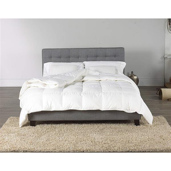Sleep Solutions By Westex Canadian Goose Down Light Comforter