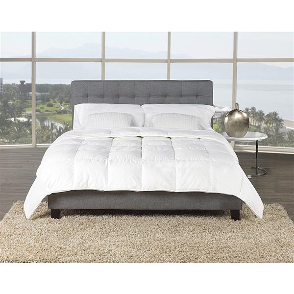 Sleep Solutions By Westex Canadian Goose Down Premium Comforter