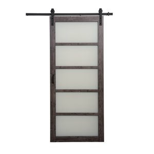 Renin 5 Lite Design Sliding Barn Door with Hardware - 36-in x 84-in