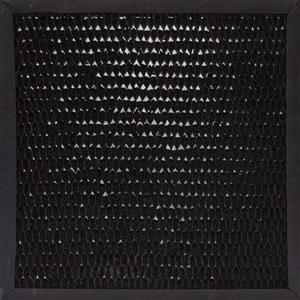XPOWER Activated Carbon Filter