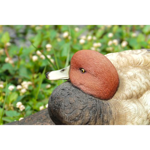 Hi-Line Gift Ltd. Decorative Garden Statue - Mallard With Red Head - 4.02-in