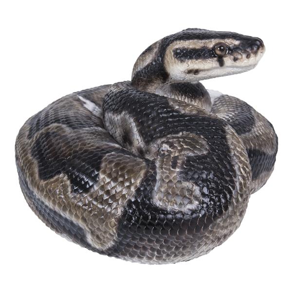 Statue de jardin, python regius, 3,86 po