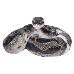 Statue de jardin, python regius, 3,86 po