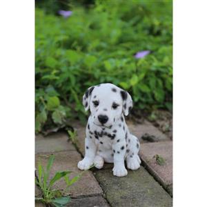 Hi-Line Gift Decorative Garden Statue - Dalmatian Puppy - 6.5"