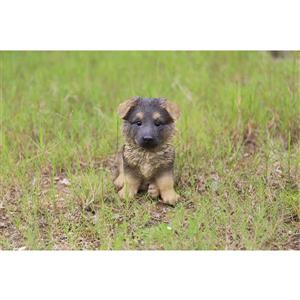 Hi-Line Gift Decorative Garden Statue - German Shepherd Puppy - 7"