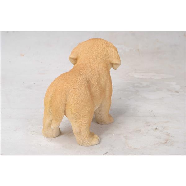 Statue de jardin, chiot labrador blond debout, 6 po