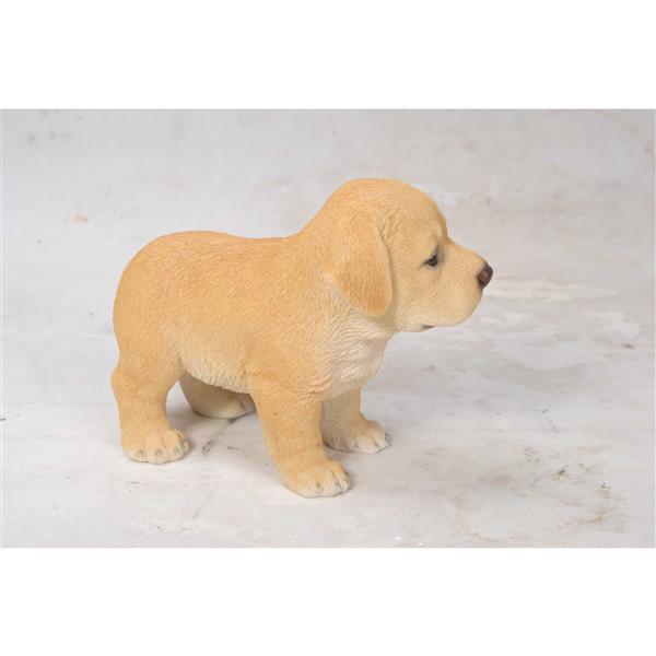 Statue de jardin, chiot labrador blond debout, 6 po