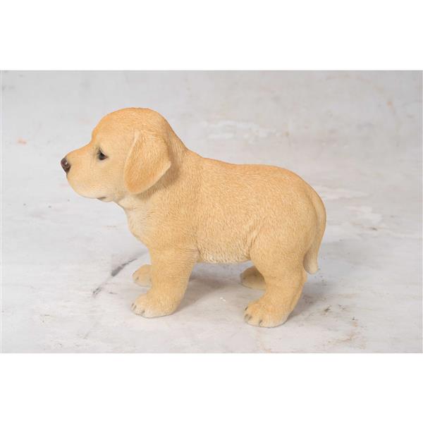 Statue de jardin, chiot labrador blond debout, 6 po