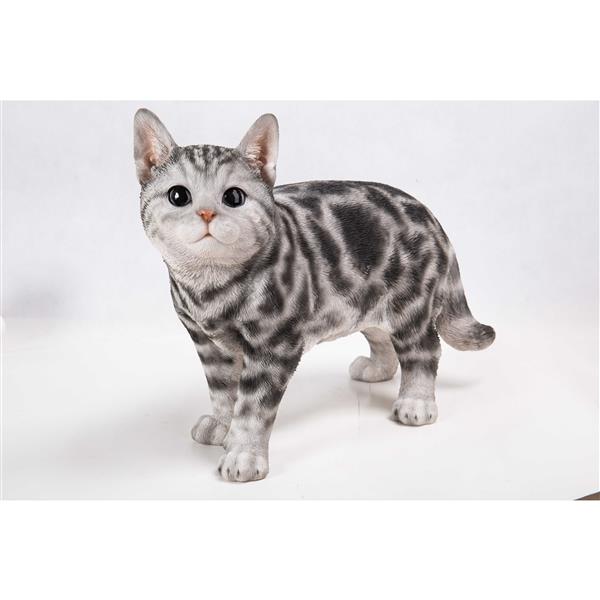 Hi Line Gift Ltd Statue De Jardin Chat American Shorthair 11 5 H Rona