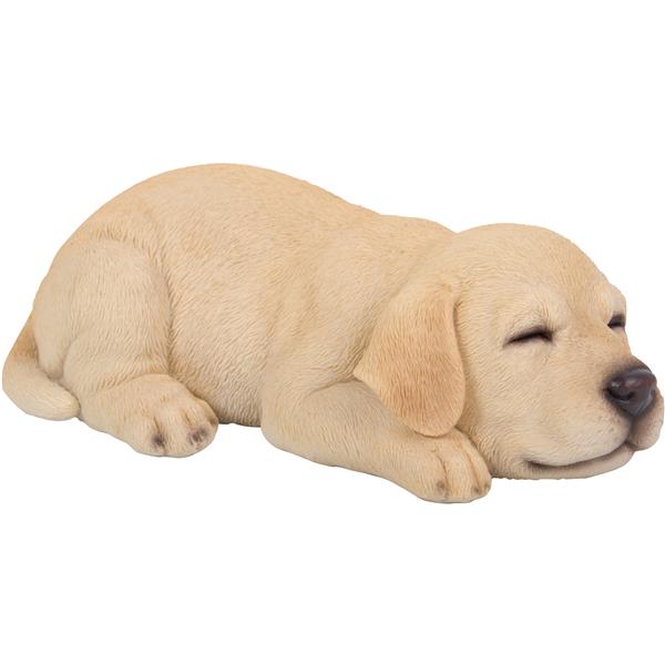 Statue de jardin, chiot labrador dormant, 2,5 po