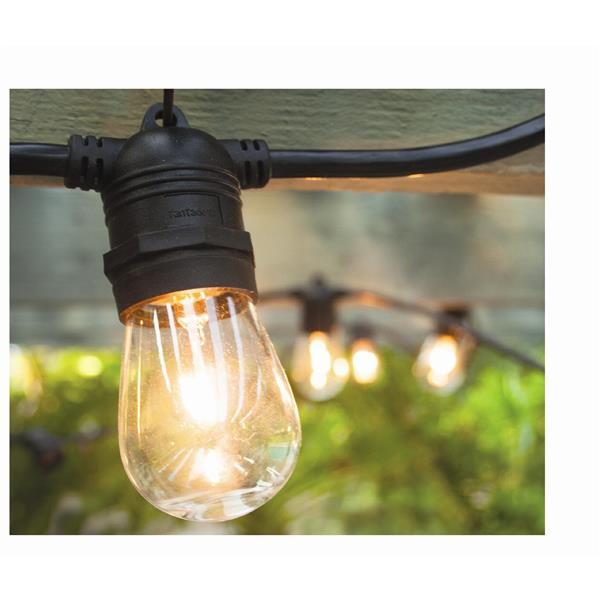 Hi-Line Gift Ltd. String Light - Indoor/Outdoor, Bulbs Included , 21-ft