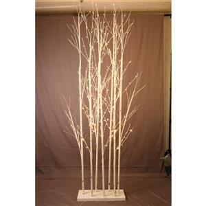 Hi-Line Gift Ltd. Large Birch Tree - White - 240 LED Lights