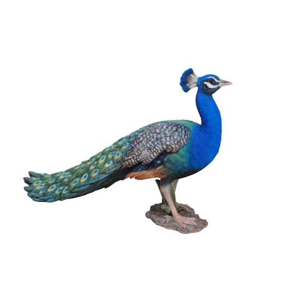 Ardent Peacock Table Sculpture