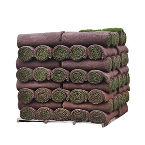 Gazon Garden and Landscape Bags 650 p²