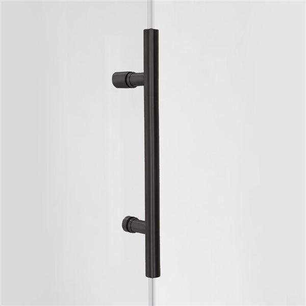 Turin Horizon 60-In Black Shower Door