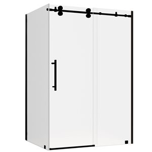 Turin Vertiges Shower Door (10 mm) 32-in x 48-in - Black
