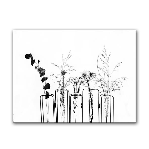 Ready2HangArt Wall Art Black and White Floral Canvas 20-in x 30-in - White