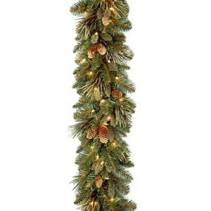 National Tree Co. Carolina Pine Garland - Battery Operated LED Lights - 9'