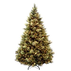Pin de Noël avec lumières transparentes Carolina, 6,5 pi, vert