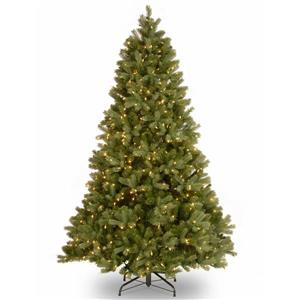 National Tree Co. Downswept Douglas Fir Tree with Clear Lights - 6.5-ft - Green