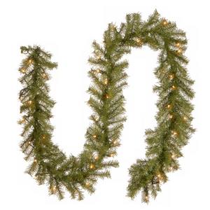 Guirlande de sapin National Tree Co. avec lumières claires Norwood, 9', verte