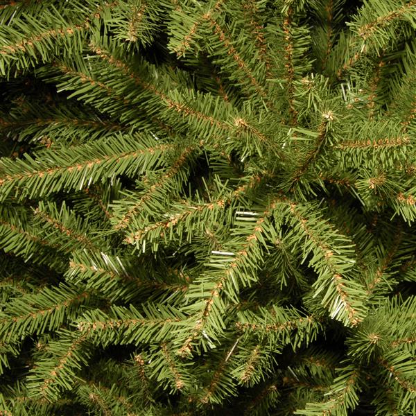 10 ft dunhill fir