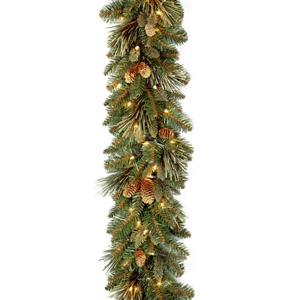 National Tree Co. Carolina Pine Garland with Clear Lights - 9' - Green