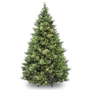 Carolina Christmas Pine Tree with Clear Lights - 9-ft - Green