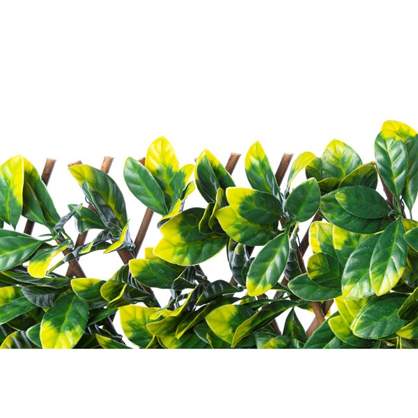 Naturae Decor Expandable Willow Trellis with Artificial Foliage - 40-in x 80-in