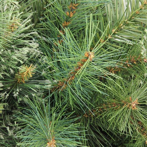 Northlight Pine Medium Artificial Christmas Tree - Mixed Cashmere - 7.5-ft