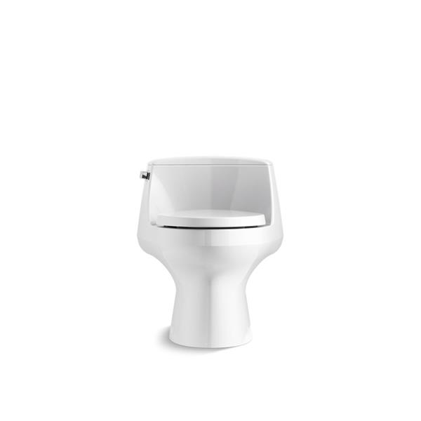 KOHLER San Raphael Elongated Toilet 1Piece Standard Height White 37220 RONA
