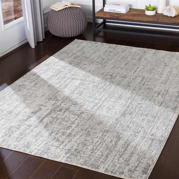 Surya Aisha Modern Area Rug - 7-ft 10-in x 10-ft 3-in- Rectangular - Grey