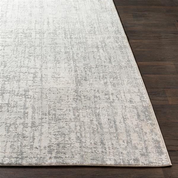 Surya Aisha Modern Area Rug - 7-ft 10-in x 10-ft 3-in- Rectangular - Grey